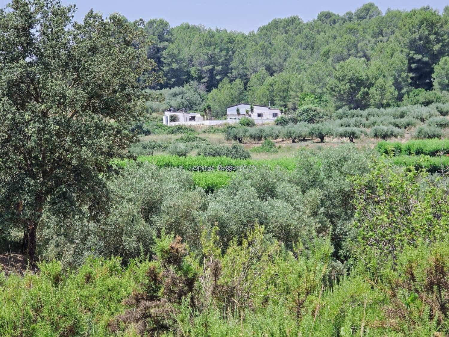 3 bedroom Villa for sale in Beniganim with pool - € 234,950 (Ref: 9084901)