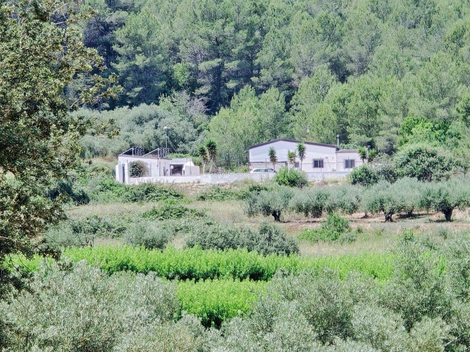 3 bedroom Villa for sale in Beniganim with pool - € 234,950 (Ref: 9084901)