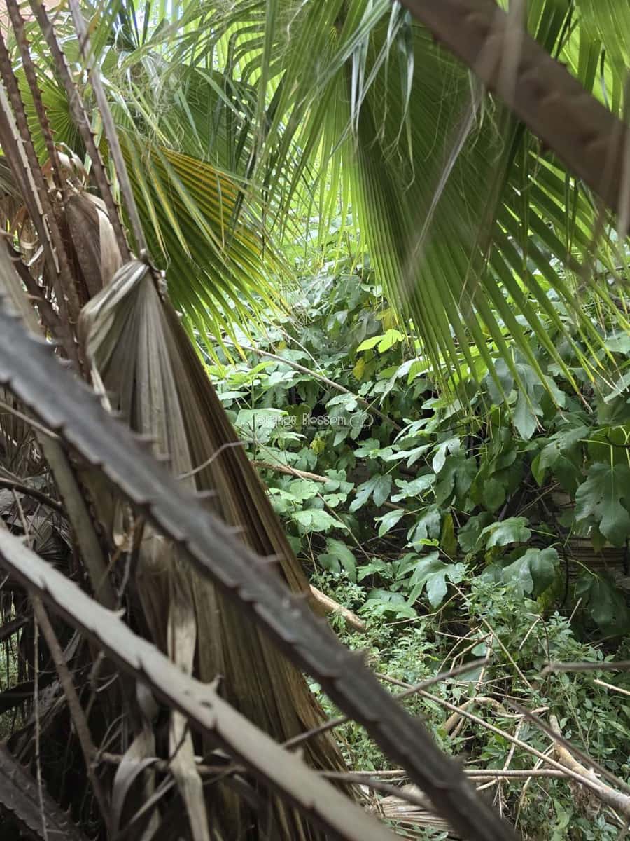 2 soveværelse Byhus til salg i Beniganim - € 27.950 (Ref: 9136855)