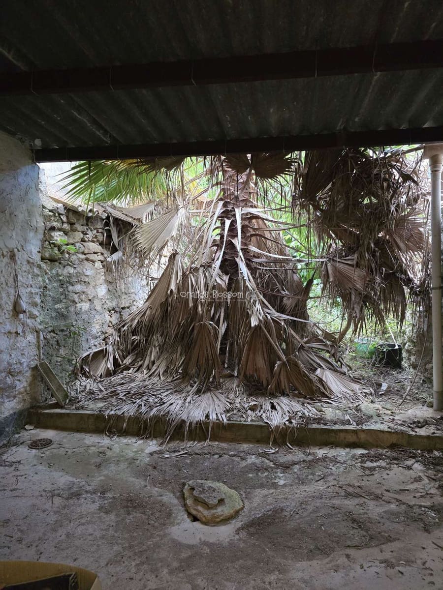 2 soveværelse Byhus til salg i Beniganim - € 27.950 (Ref: 9136855)