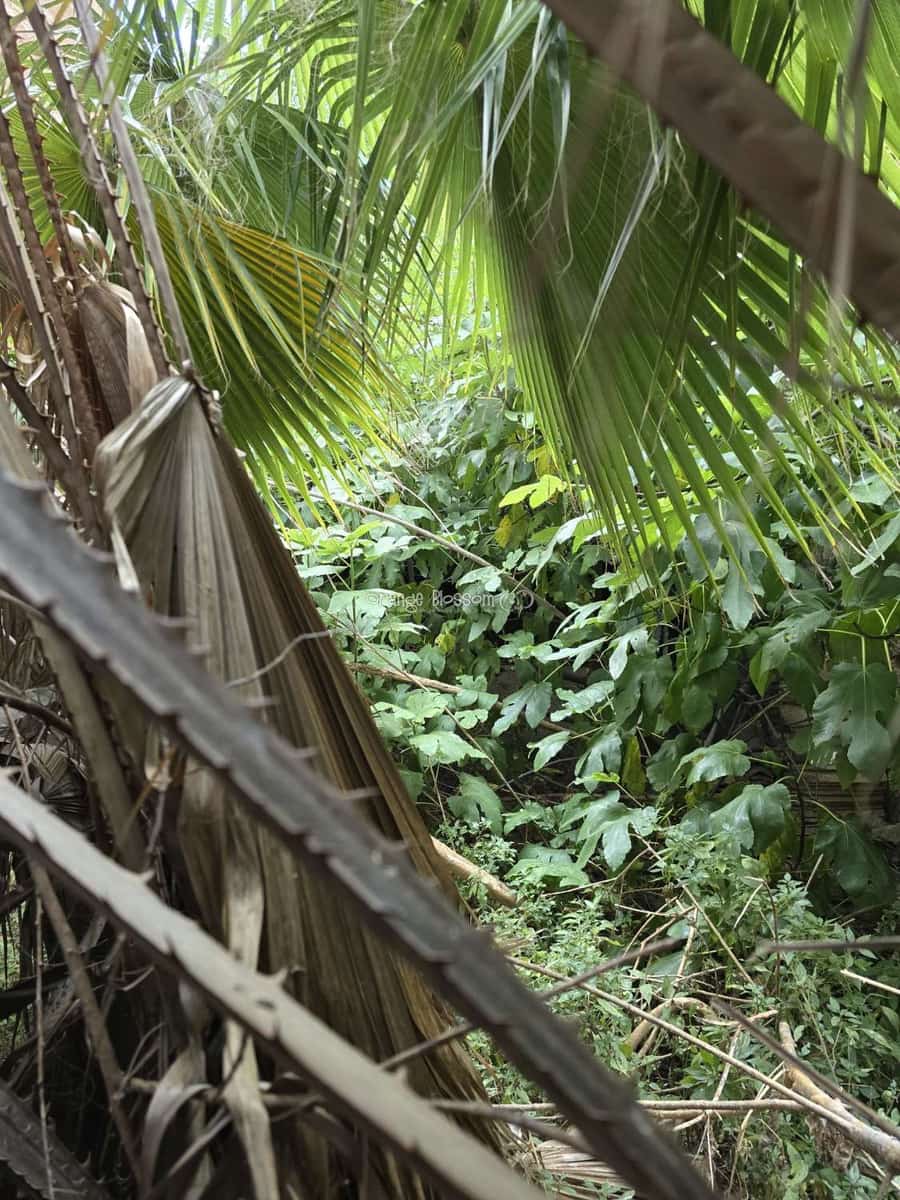 2 soveværelse Byhus til salg i Beniganim - € 27.950 (Ref: 9136855)