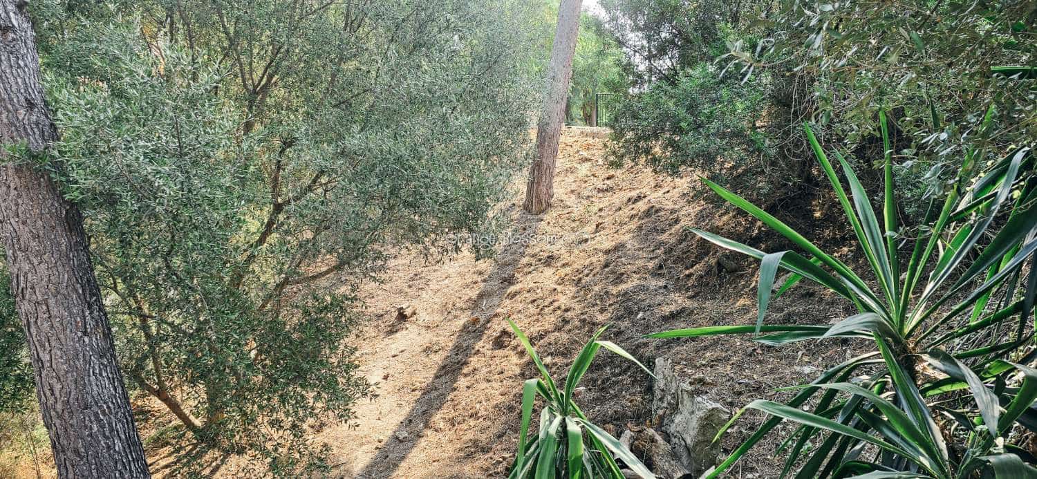 4 camera da letto Villa in vendita in Real de Gandia con piscina - 398.000 € (Rif: 9200253)