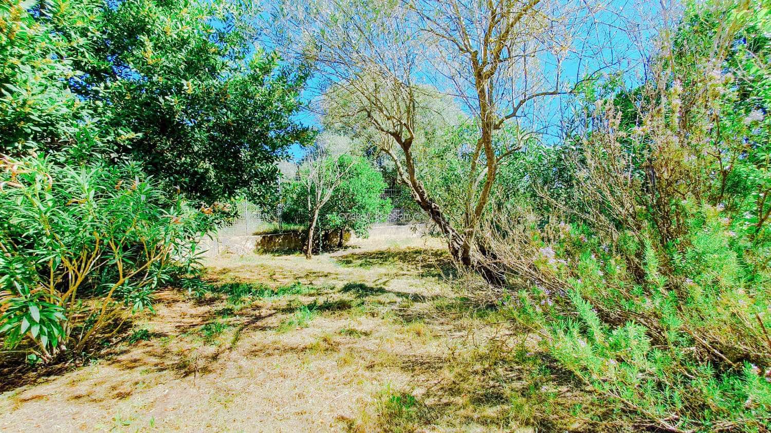 5 quarto Moradia para venda em Villalonga com piscina - 275 000 € (Ref: 9472001)