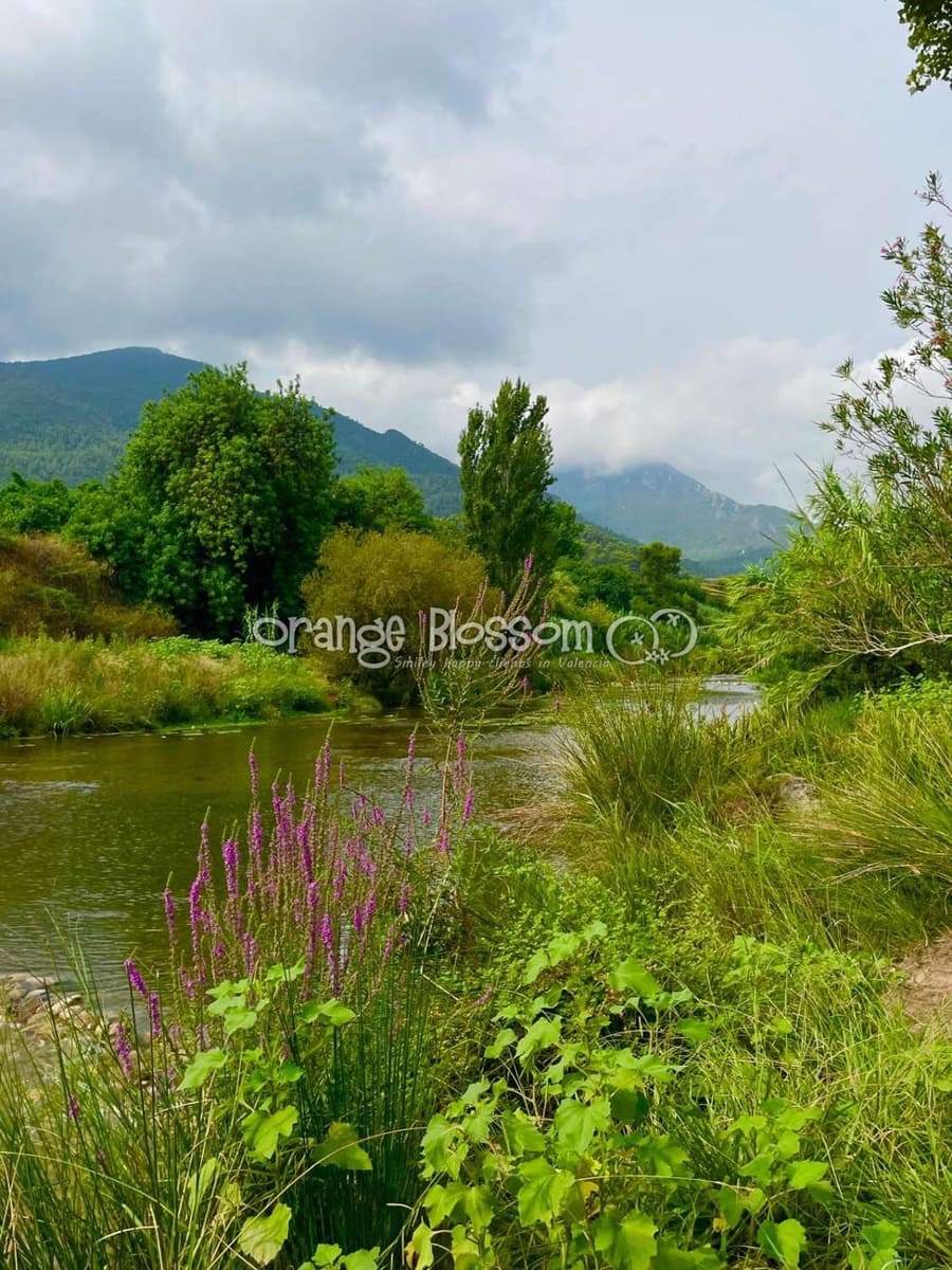 3 bedroom Terraced Villa for sale in Ador with pool garage - € 220,000 (Ref: 9537185)