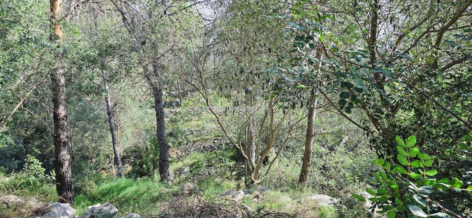 5 chambre Villa/Maison à vendre à Villalonga avec piscine - 259 950 € (Ref: 9573831)