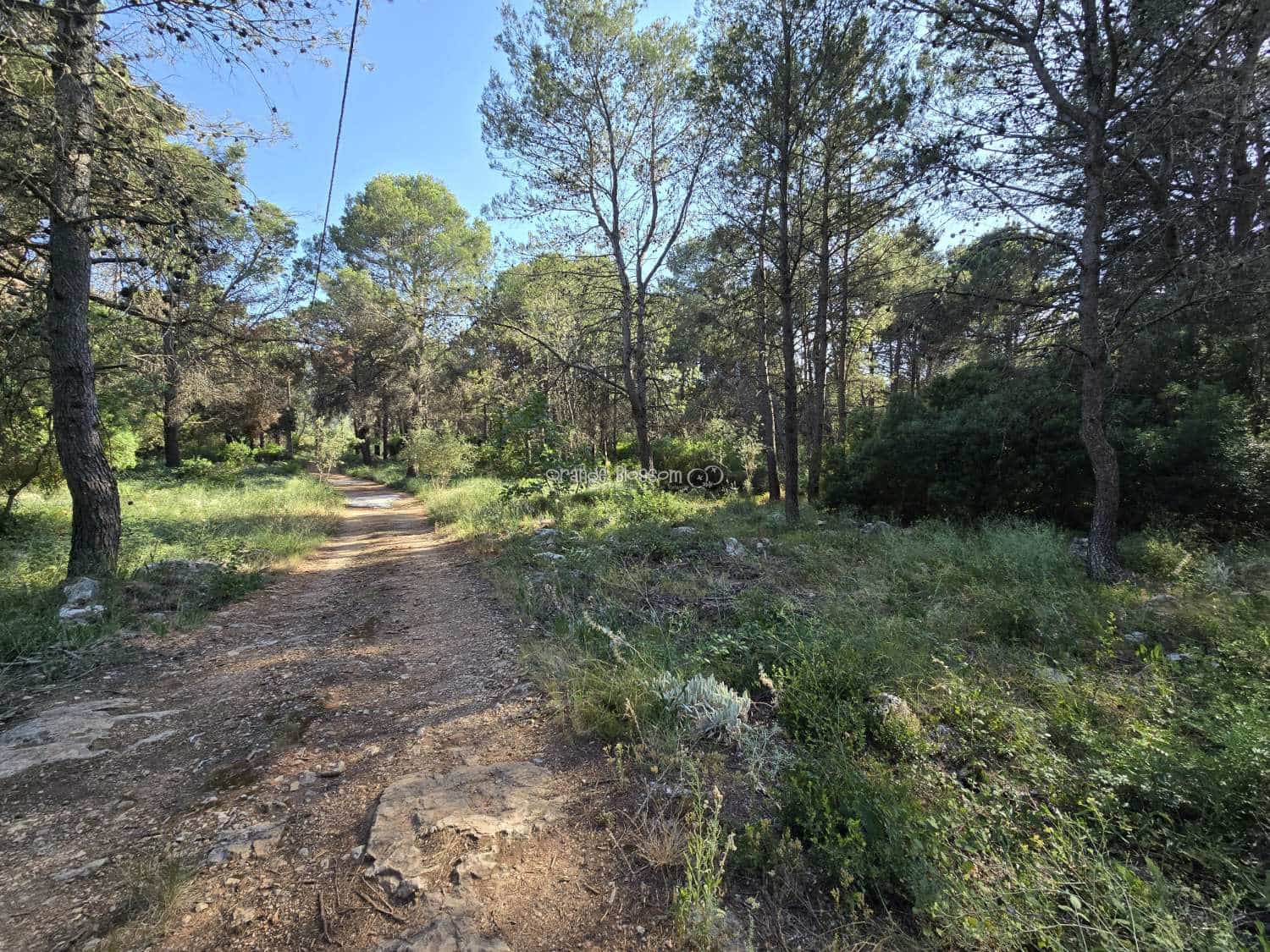 Terrain à Bâtir à vendre à Villalonga - 70 000 € (Ref: 9719410)