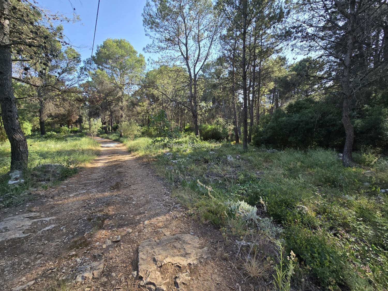 Terrain à Bâtir à vendre à Villalonga - 70 000 € (Ref: 9719410)