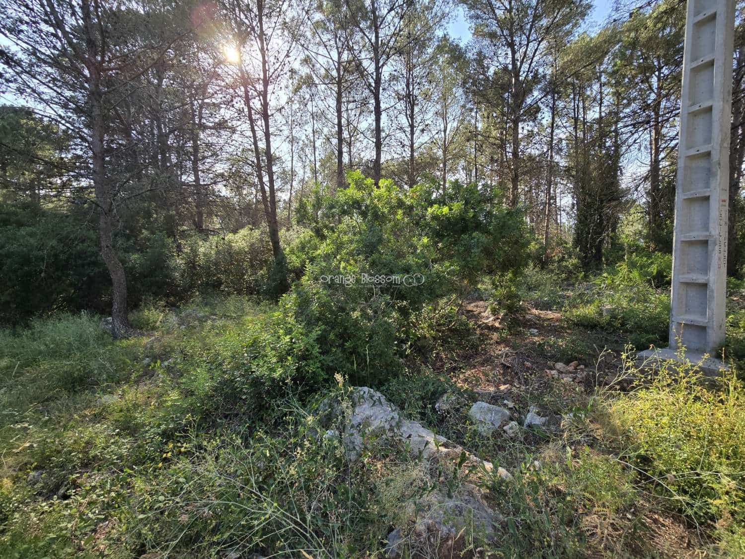 Terrain à Bâtir à vendre à Villalonga - 70 000 € (Ref: 9719410)