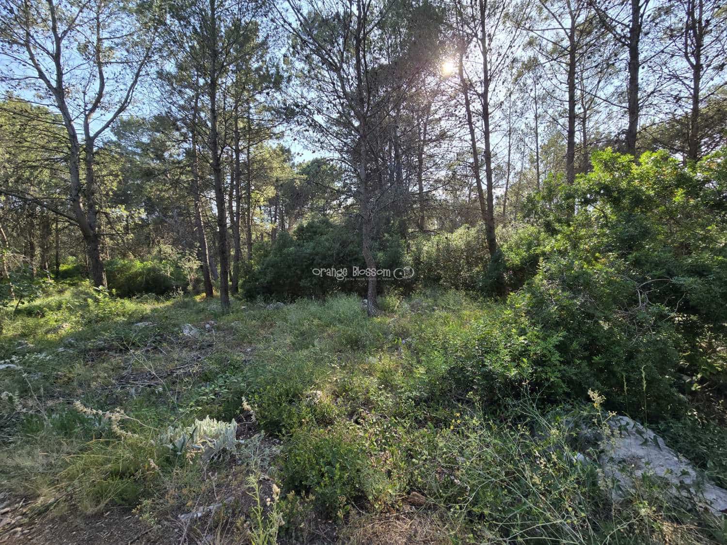 Terrain à Bâtir à vendre à Villalonga - 70 000 € (Ref: 9719410)