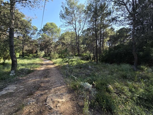 Terrain à Bâtir à vendre à Villalonga - 70 000 € (Ref: 9719410)