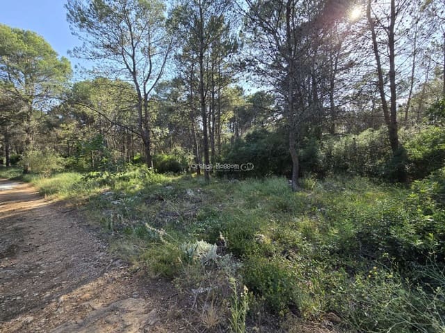 Terrain à Bâtir à vendre à Villalonga - 70 000 € (Ref: 9719410)