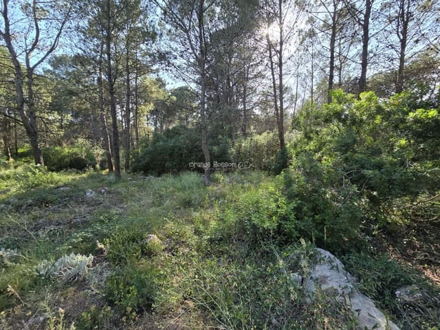 Terrain à Bâtir à vendre à Villalonga - 70 000 € (Ref: 9719410)