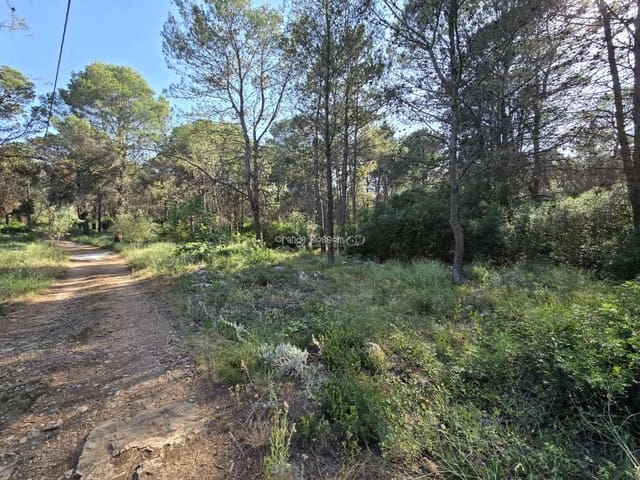 Terrain à Bâtir à vendre à Villalonga - 70 000 € (Ref: 9719410)