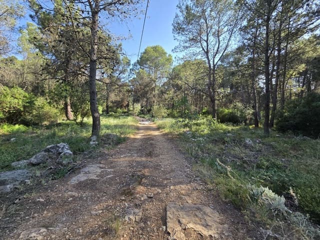 Terrain à Bâtir à vendre à Villalonga - 70 000 € (Ref: 9719410)