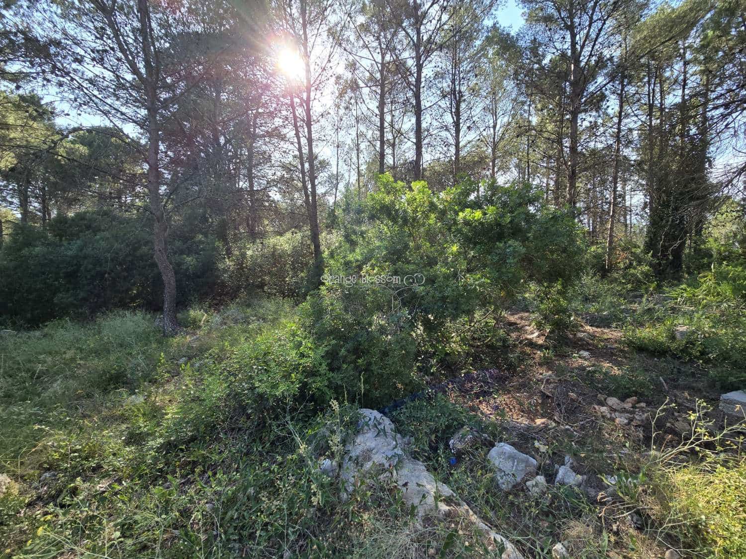 Terrain à Bâtir à vendre à Villalonga - 70 000 € (Ref: 9719410)