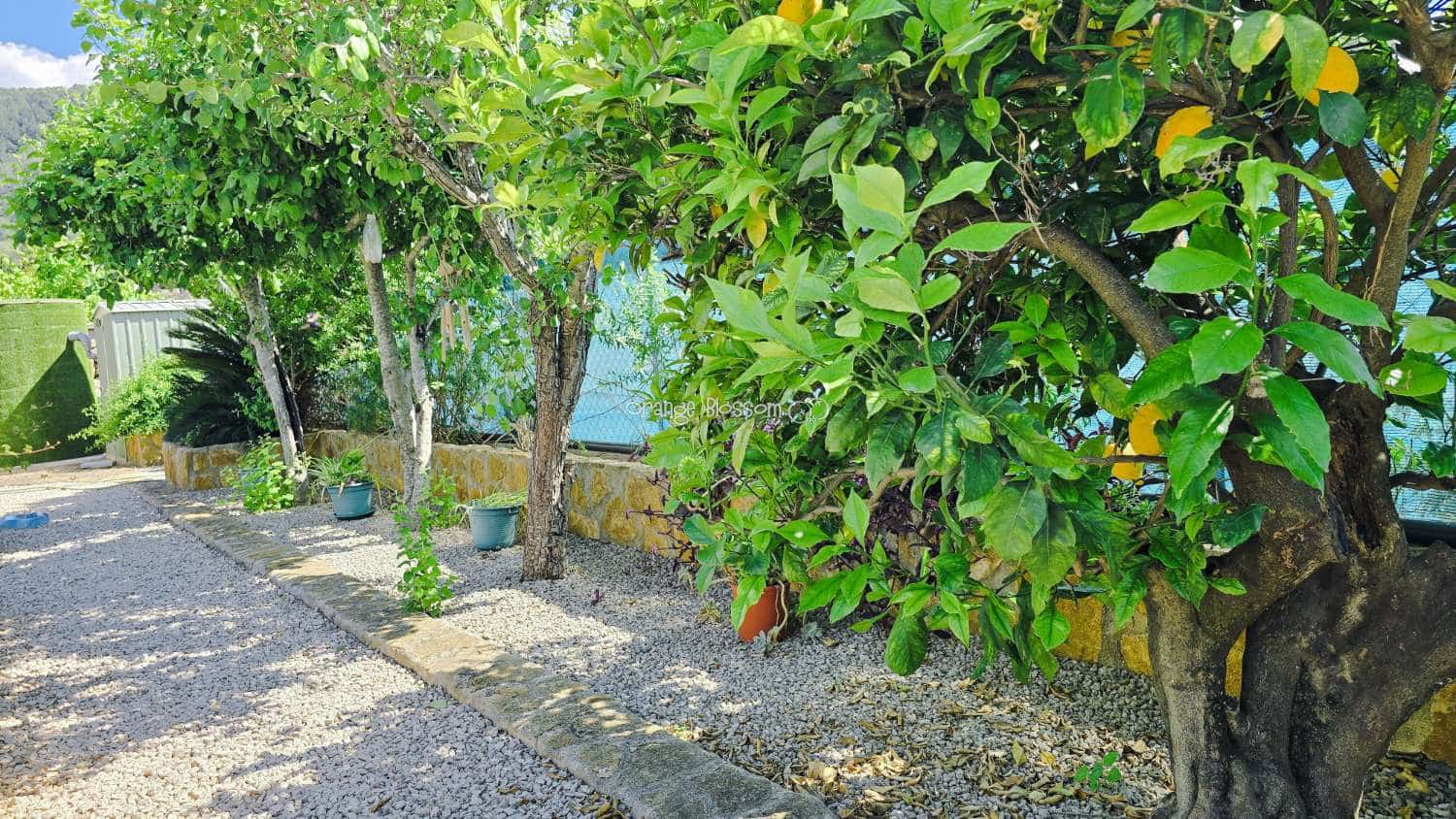 4 camera da letto Villa in vendita in Villalonga con piscina - 379.950 € (Rif: 9840813)