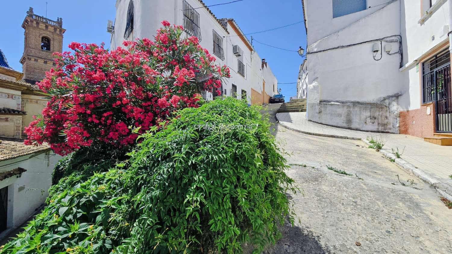 3 soverom Hus til salgs i Oliva - € 135 000 (Ref: 9906723)