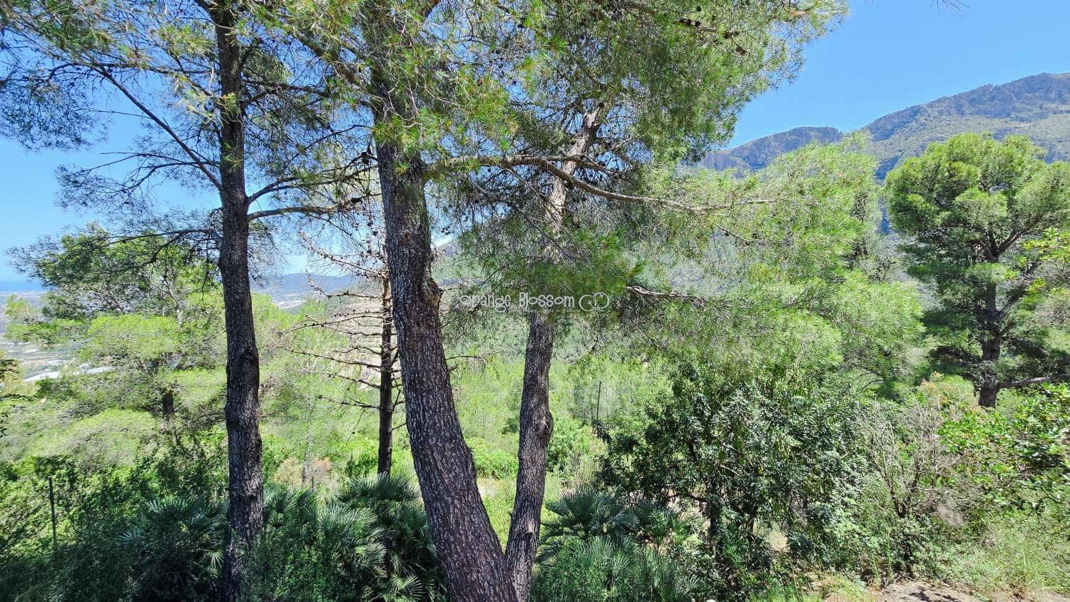 5 bedroom Villa for sale in Villalonga with pool garage - € 260,000 (Ref: 9931211)
