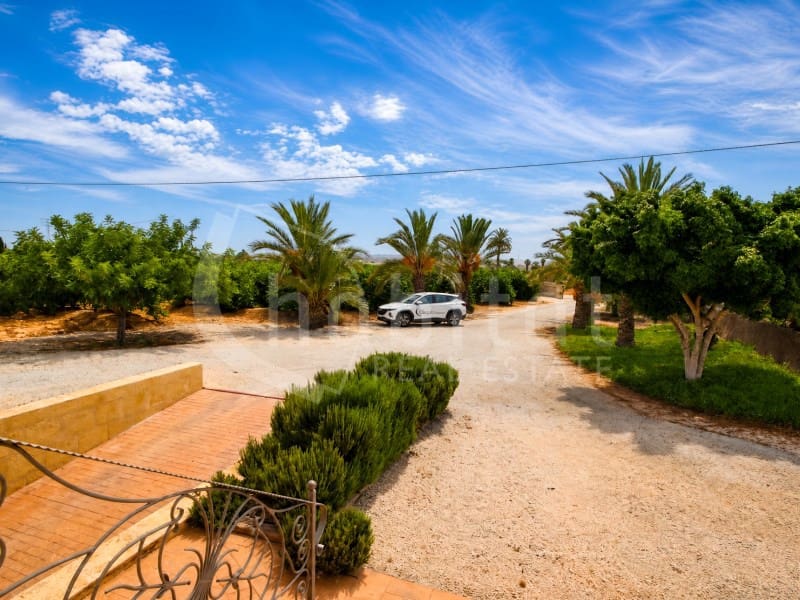 Finca/Casa Rural de 4 habitaciones en Los Montesinos en alquiler con piscina garaje - 2.000 € (Ref: 10040734)