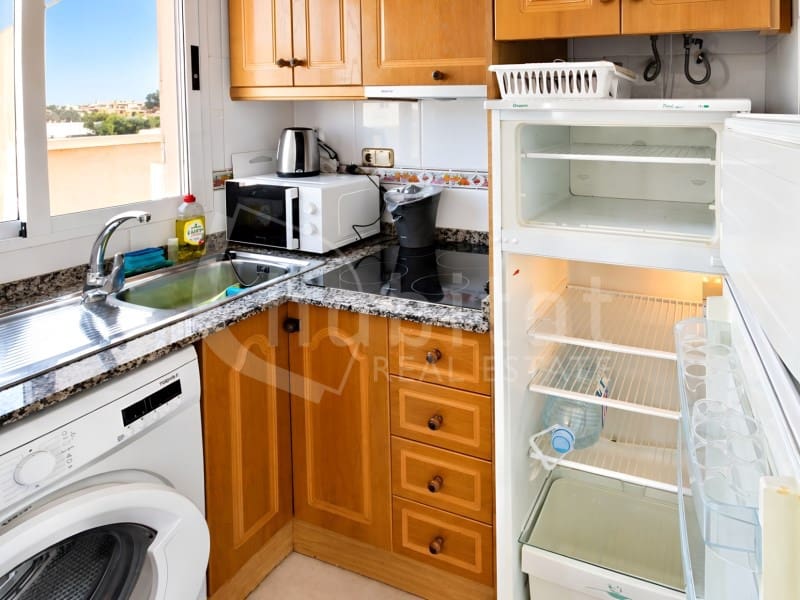 1 bedroom Apartment for rent in Torrevieja - € 600 (Ref: 10157552)