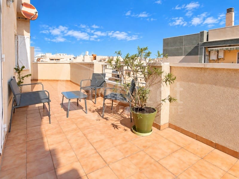 1 bedroom Apartment for rent in Torrevieja - € 600 (Ref: 10157552)