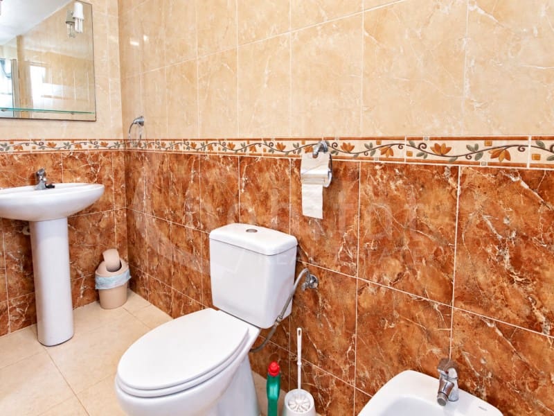 1 bedroom Apartment for rent in Torrevieja - € 600 (Ref: 10157552)