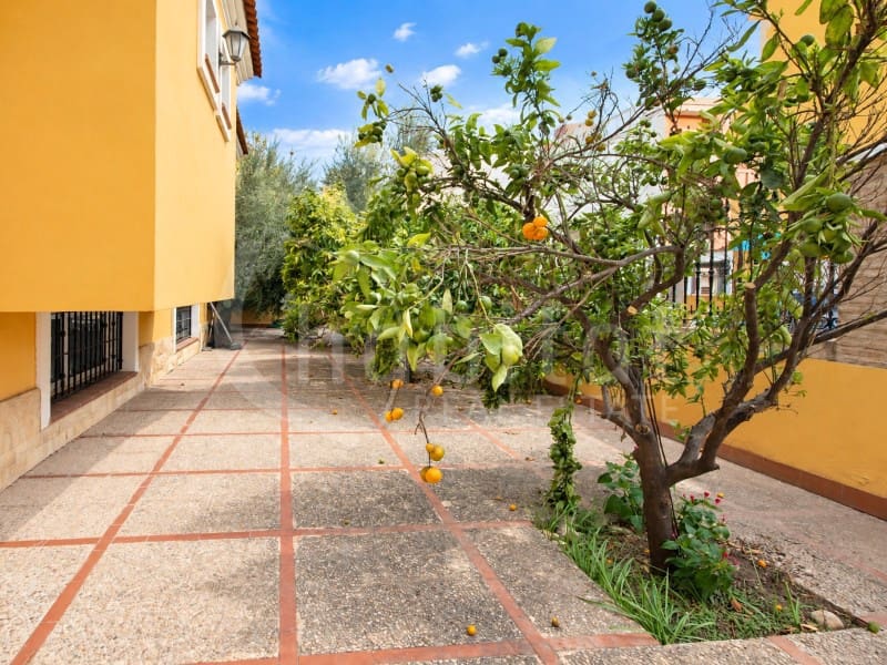 6 soveværelse Villa til salg i Los Montesinos med garage - € 499.000 (Ref: 10171206)