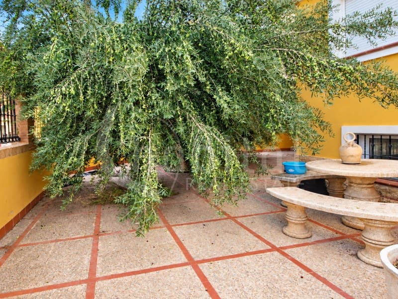 6 soveværelse Villa til salg i Los Montesinos med garage - € 499.000 (Ref: 10171206)