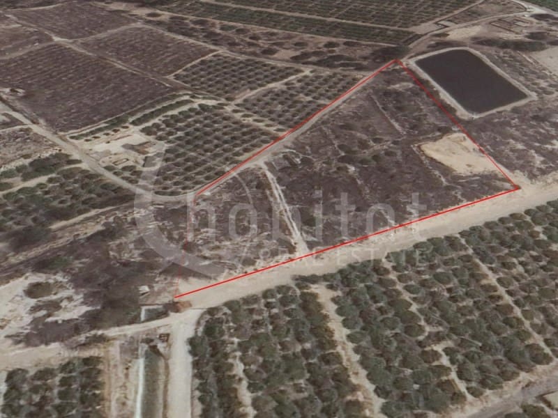 Grond te koop in Los Montesinos - € 180.000 (Ref: 8429206)