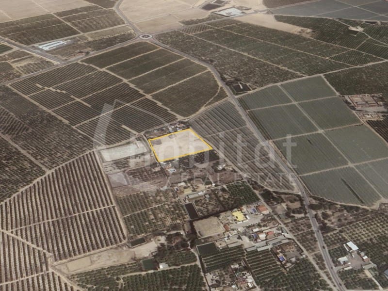 Mark till salu i Los Montesinos - 180 000 € (Ref: 8526780)