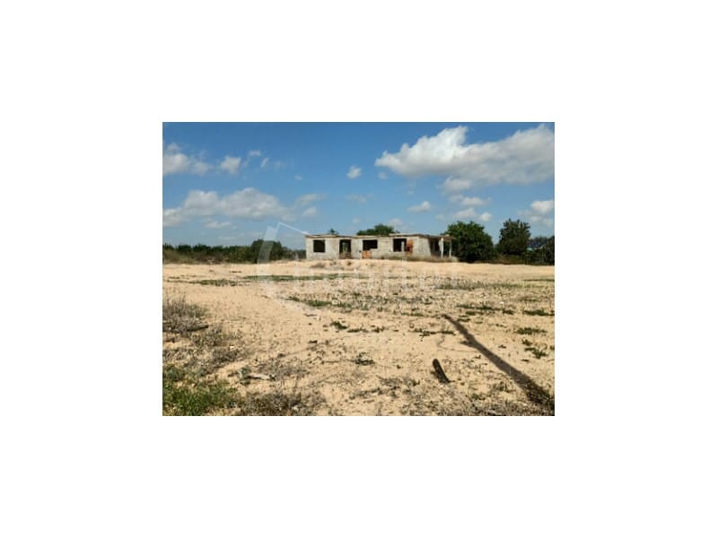 Mark till salu i Los Montesinos - 180 000 € (Ref: 8526780)