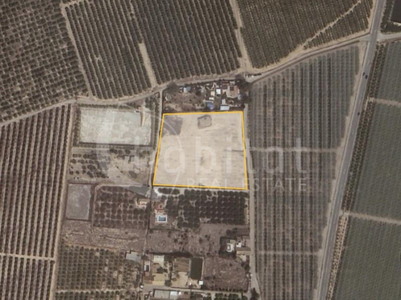 Mark till salu i Los Montesinos - 180 000 € (Ref: 8526780)