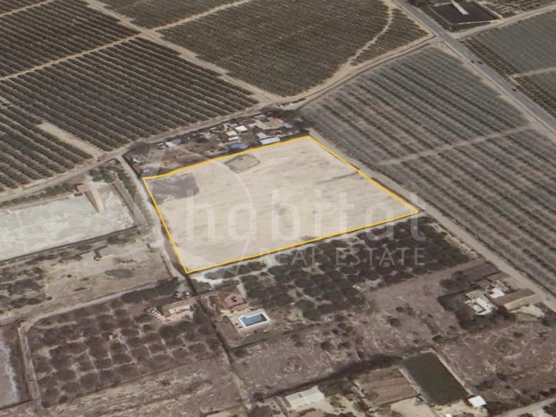 Mark till salu i Los Montesinos - 180 000 € (Ref: 8526780)