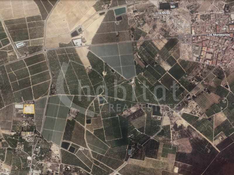 Mark till salu i Los Montesinos - 180 000 € (Ref: 8526780)