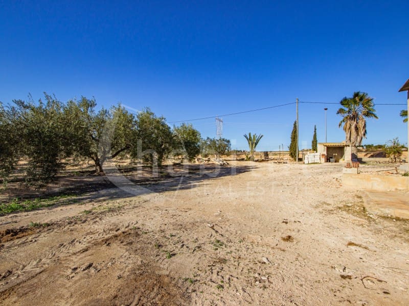 Finca/Hus på landet till salu i Los Montesinos - 1 100 000 € (Ref: 8843542)