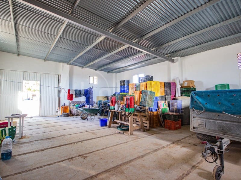 Finca/Hus på landet till salu i Los Montesinos - 1 100 000 € (Ref: 8843542)