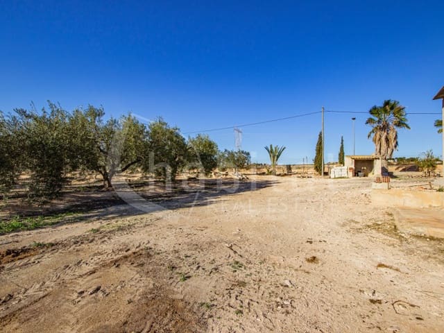 Finca/Hus på landet till salu i Los Montesinos - 1 100 000 € (Ref: 8843542)