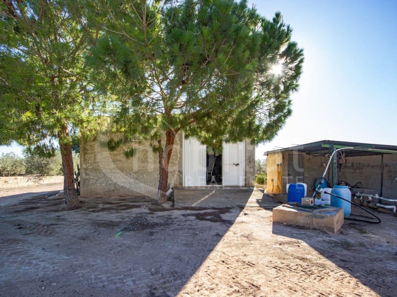 Finca/Hus på landet till salu i Los Montesinos - 1 100 000 € (Ref: 8843542)