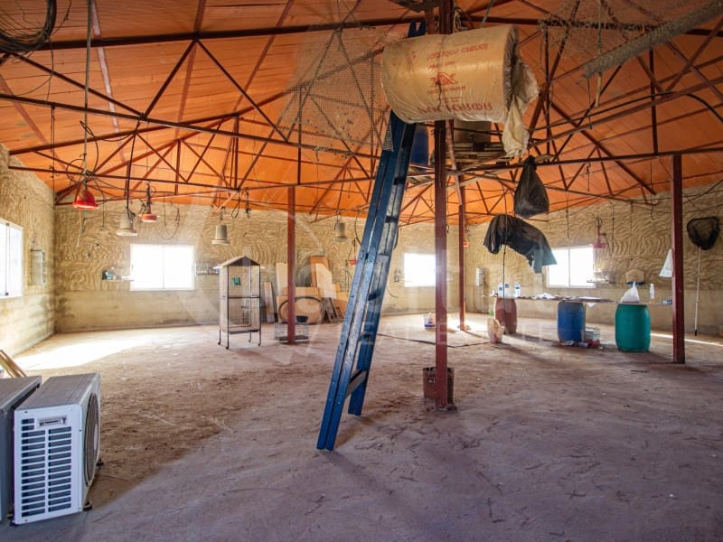 Finca/Hus på landet till salu i Los Montesinos - 1 100 000 € (Ref: 8843542)