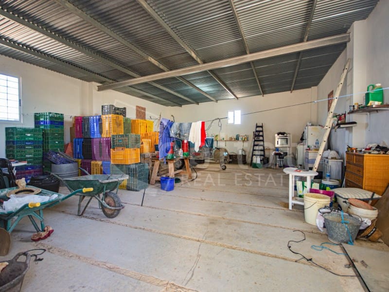 Finca/Hus på landet till salu i Los Montesinos - 1 100 000 € (Ref: 8843542)