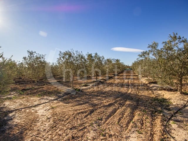 Finca/Hus på landet till salu i Los Montesinos - 1 100 000 € (Ref: 8843542)