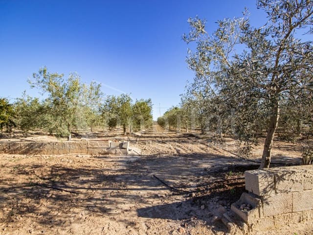 Finca/Hus på landet till salu i Los Montesinos - 1 100 000 € (Ref: 8843542)