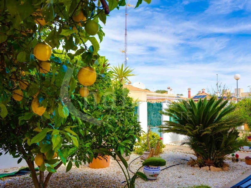 3 sypialnia Willa na sprzedaż w Los Montesinos z garażem - 285 000 € (Ref: 8926772)