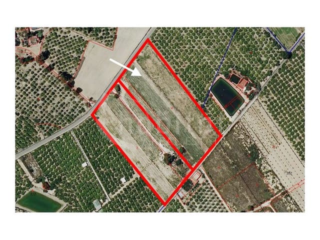 Ubebygd land til salgs i Rojales - € 125 000 (Ref: 8926773)