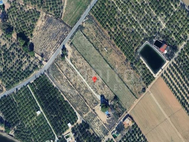 Undeveloped Land for sale in Rojales - € 125,000 (Ref: 8926773)