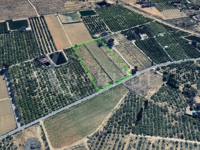 Undeveloped Land for sale in Rojales - € 125,000 (Ref: 8926773)