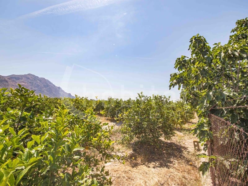 2 soverom Finca/Herregård til salgs i Redovan med svømmebasseng garasje - € 225 000 (Ref: 9014608)