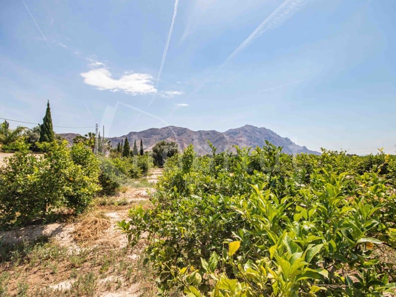 2 soverom Finca/Herregård til salgs i Redovan med svømmebasseng garasje - € 225 000 (Ref: 9014608)