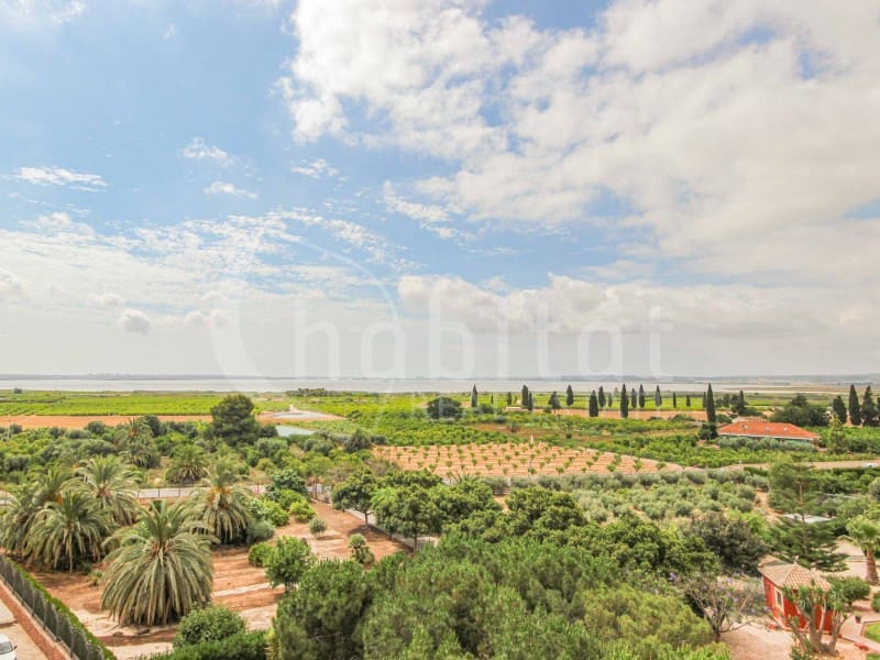 2 chambre Appartement à vendre à Los Montesinos - 115 000 € (Ref: 9599361)