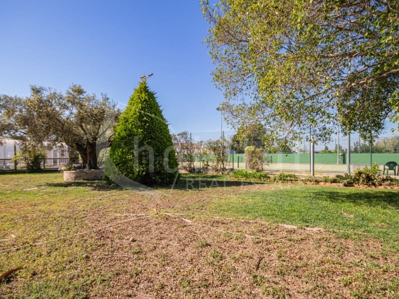 5 chambre Finca/Maison de Campagne à vendre à Los Montesinos avec piscine garage - 1 590 000 € (Ref: 9788254)